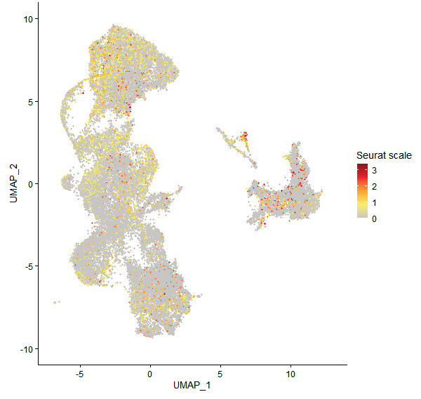 Feature plot of Mp7g06700 on UMAP
