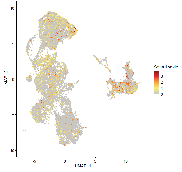 Feature plot of Mp7g11540 on UMAP