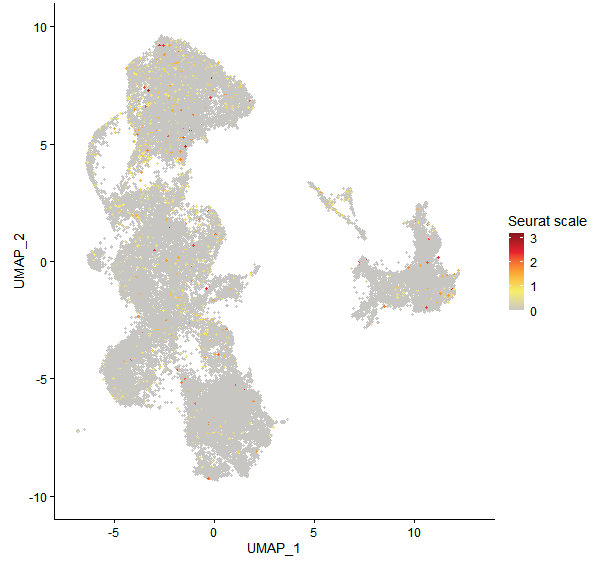 Feature plot of Mp7g11720 on UMAP