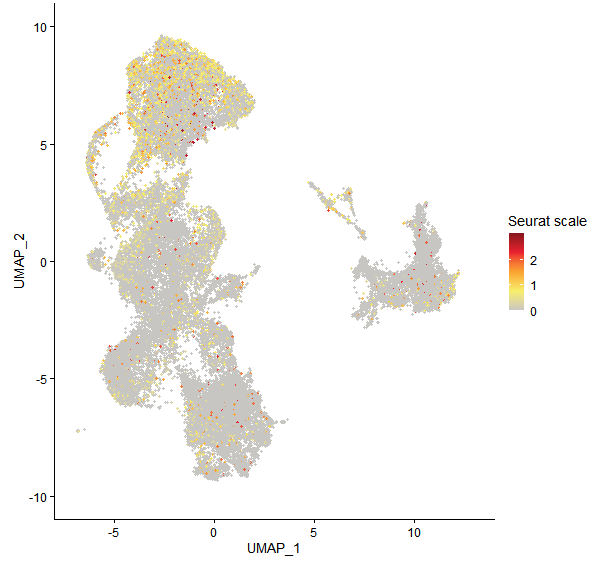Feature plot of Mp7g11800 on UMAP