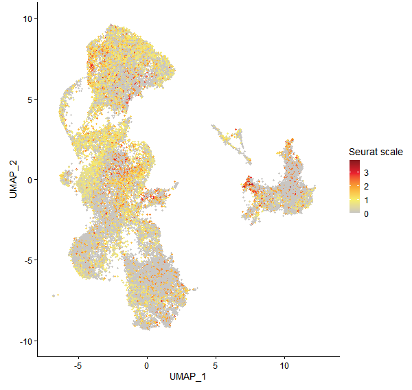 Feature plot of Mp7g13800 on UMAP