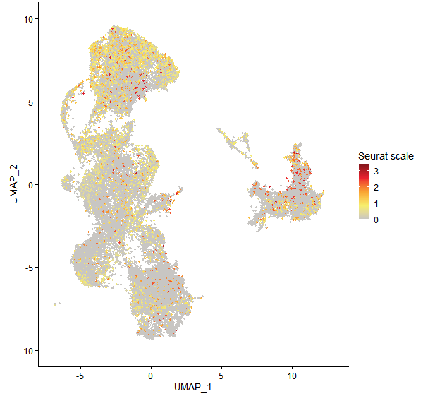 Feature plot of Mp8g00880 on UMAP