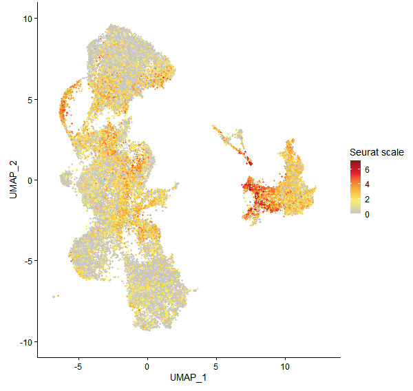 Feature plot of Mp8g01700 on UMAP