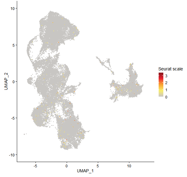 Feature plot of Mp8g01770 on UMAP