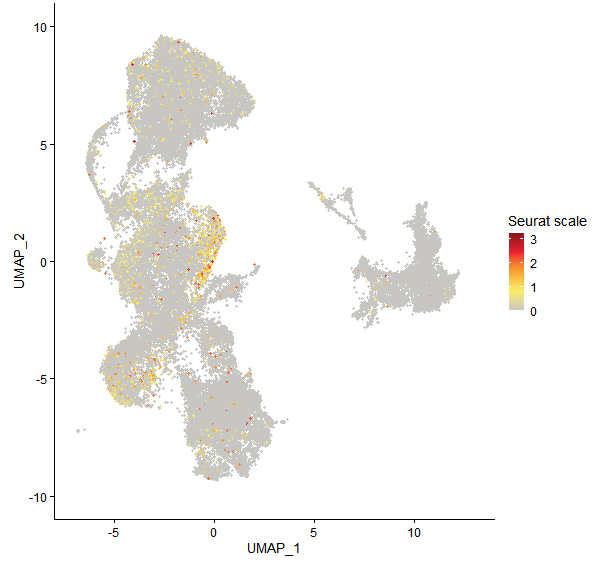 Feature plot of Mp8g04700 on UMAP