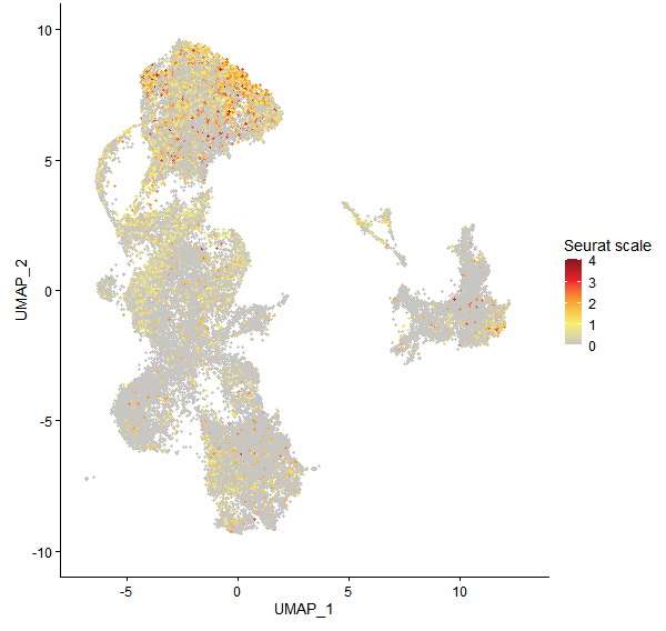 Feature plot of Mp8g05020 on UMAP