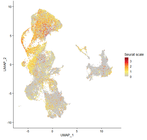 Feature plot of Mp8g08190 on UMAP
