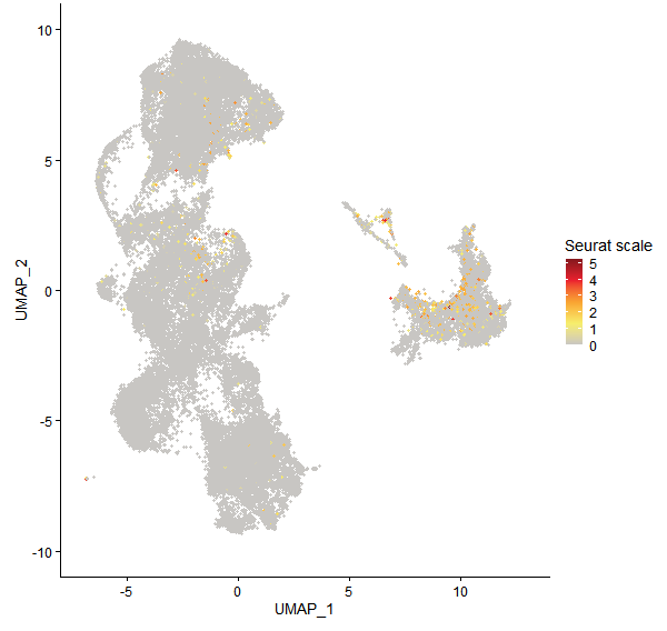 Feature plot of Mp8g08940 on UMAP
