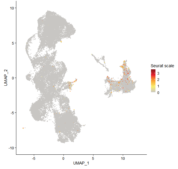 Feature plot of Mp8g09990 on UMAP