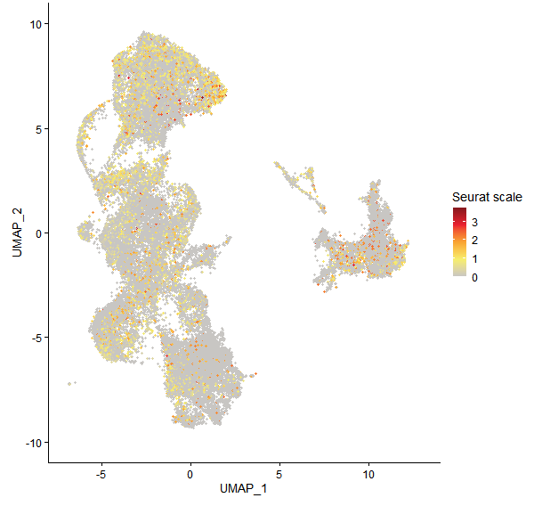 Feature plot of Mp8g10640 on UMAP