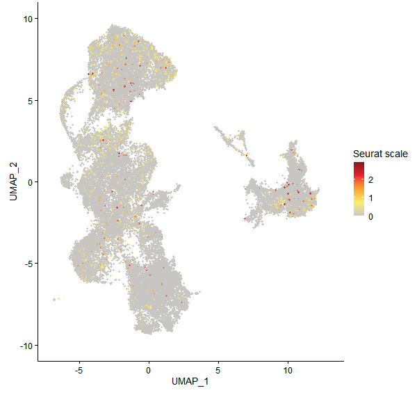 Feature plot of Mp8g10660 on UMAP