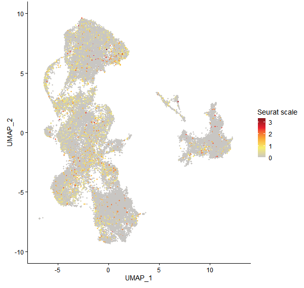 Feature plot of Mp8g11800 on UMAP