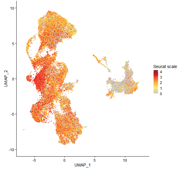 Feature plot of Mp8g12730 on UMAP