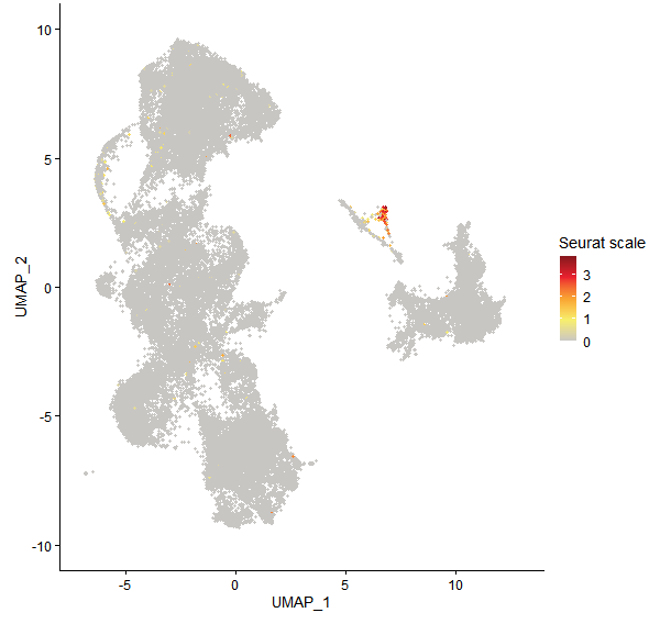 Feature plot of Mp8g13070 on UMAP