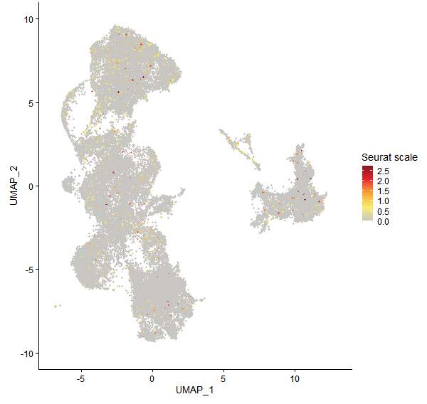 Feature plot of Mp8g15610 on UMAP