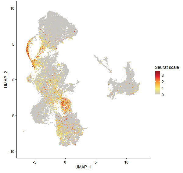 Feature plot of Mp8g18180 on UMAP