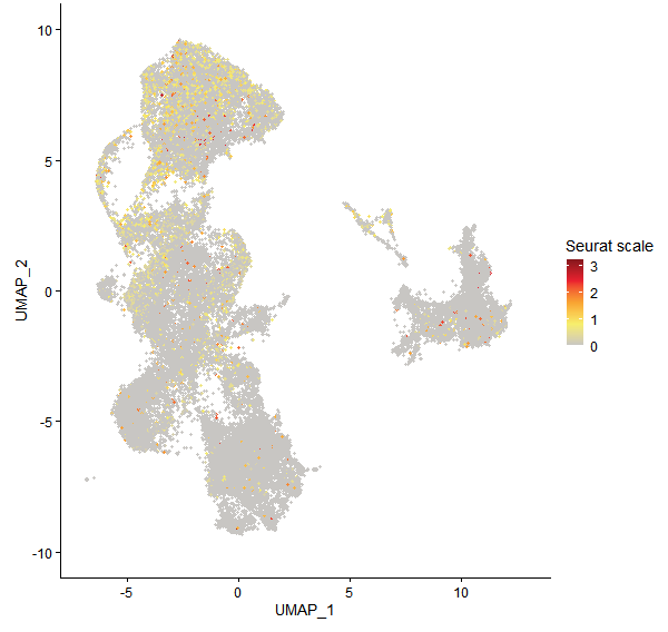 Feature plot of MpVg00350 on UMAP